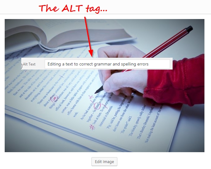 Make sure all your images in your blog post have ALT tags