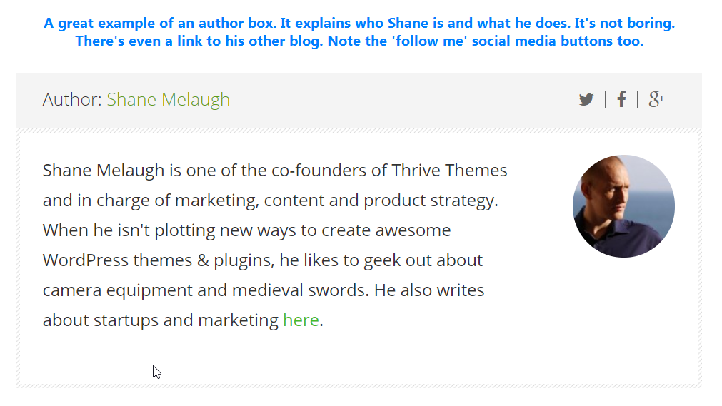 Example of a blogger's author box at the bottom of a blog post